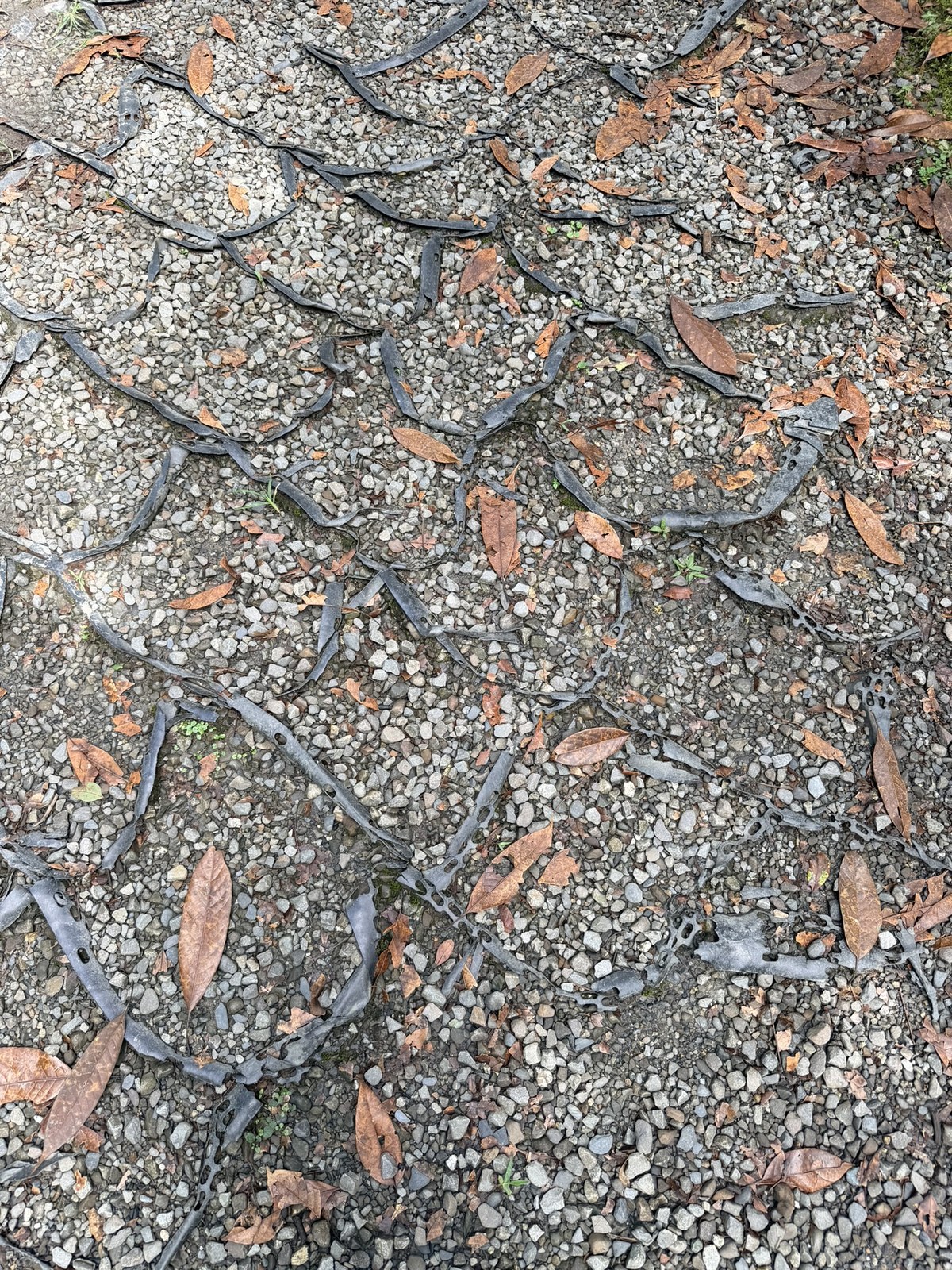 石頭路上的菱形格網