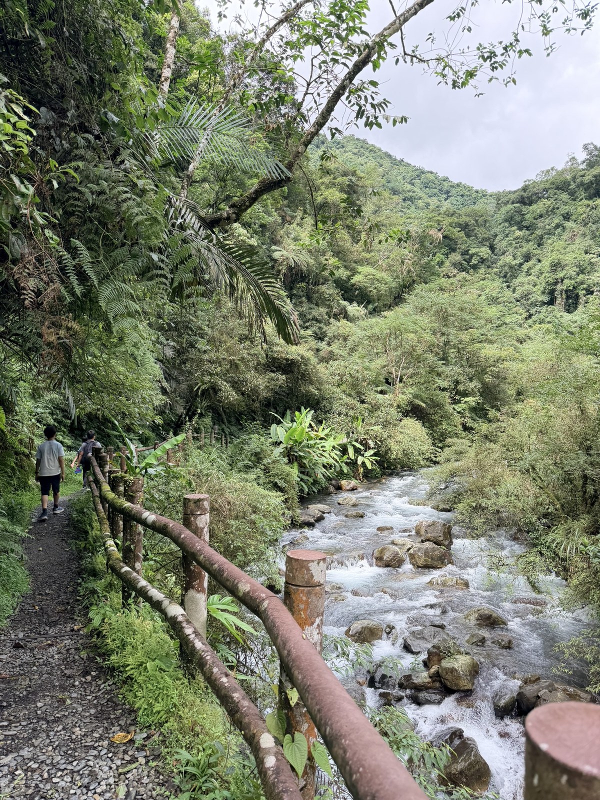 架高的步道沿著溪邊與山壁
